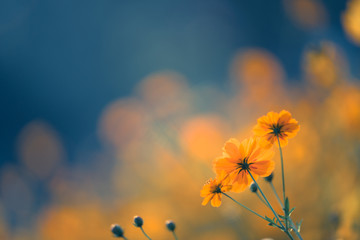 如何用60分钟讲解汽车基础知识？