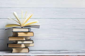 今天你能让我认识一种植物吗？