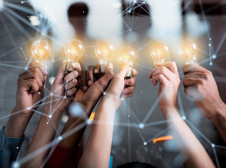 十大最好养的室内植物