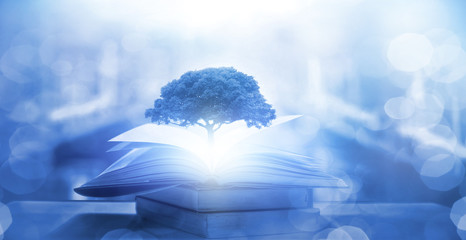 冷库可以做什么生意？