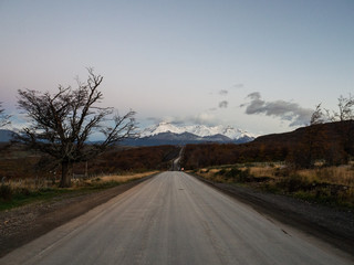 怎样制作生物标本