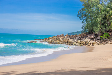 怎样制作生物标本