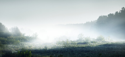 中国的国蝶是什么-