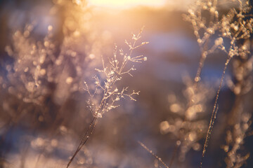上个星期六天气很好用英语怎么说