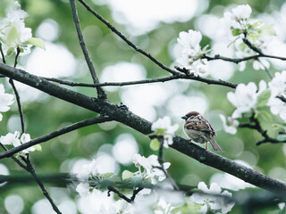 如何用60分钟讲解汽车基础知识？