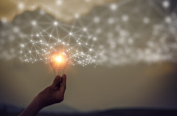 怎样制作生物标本