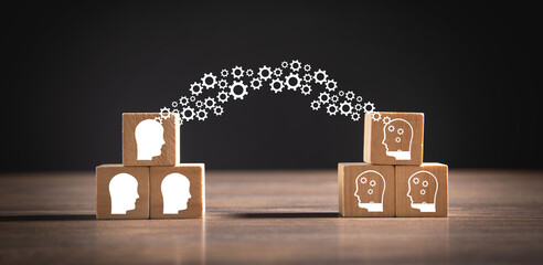 中国的国蝶是什么-