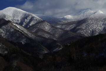 中国的国蝶是什么-