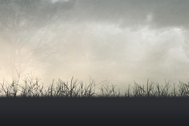 国防教育工作计划