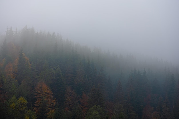 高一语文考试时阅读题答题步骤