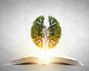 人生各个年龄段的叫法