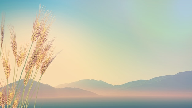 有关将心比心的名人事例