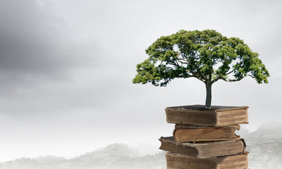 关于国家富强而奋斗杰出人物故事的手抄报 童话故事的手抄报