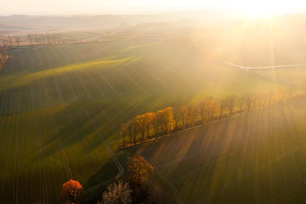 绵阳考试中心电话号码